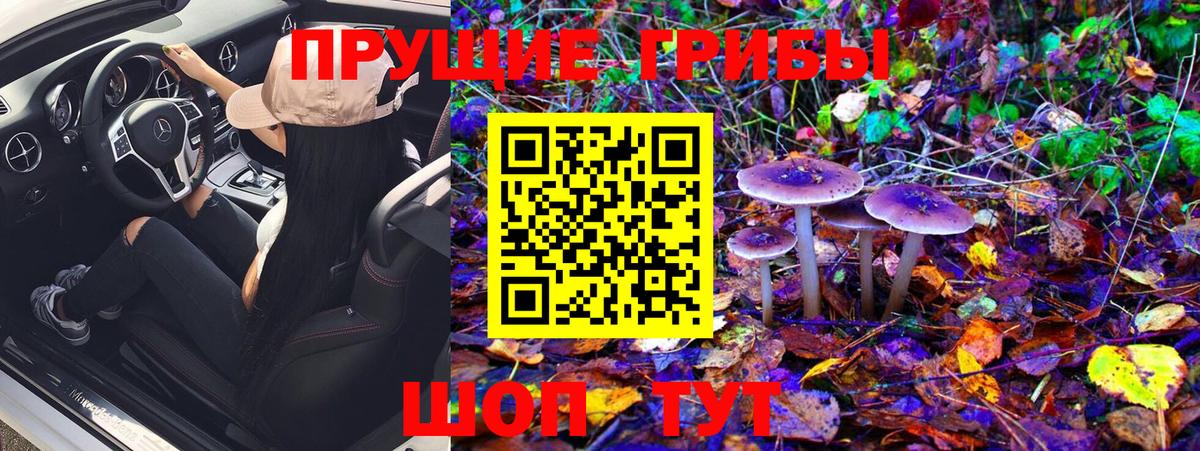 Псилоцибиновые грибы Magic Shrooms Новокуйбышевск
