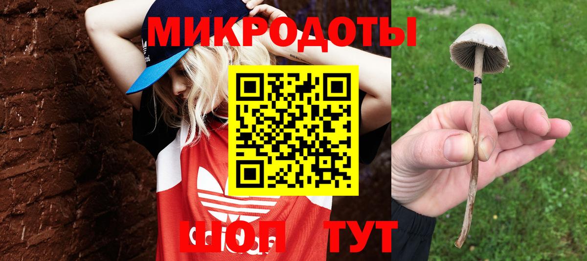 Галлюциногенные грибы мухоморы  Галлюциногенные грибы MAGIC MUSHROOMS  Вход с VPN  Новокуйбышевск 
