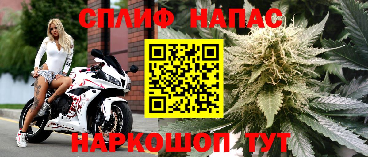 Канабис ГИДРОПОН  Марихуана планчик  Канабис VHQ  Новокуйбышевск  Вход с VPN  Марихуана Bruce Banner 
